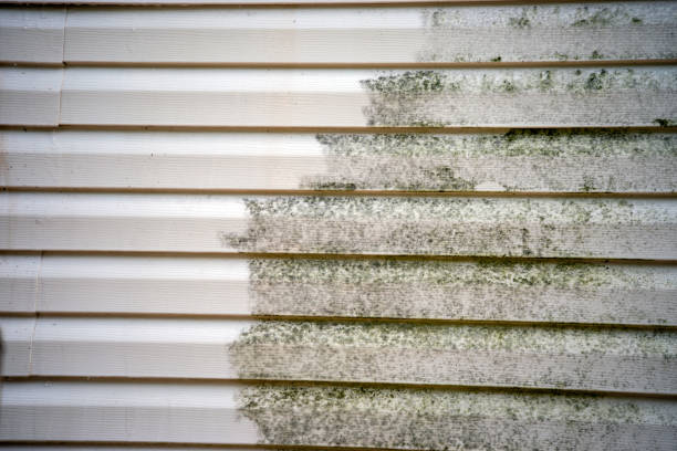 How To Choose The Right Materials for Your Siding Installation in 'Franklin, MI